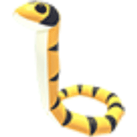 Yellow-lipped Sea Krait - Uncommon from Southeast Asia Egg